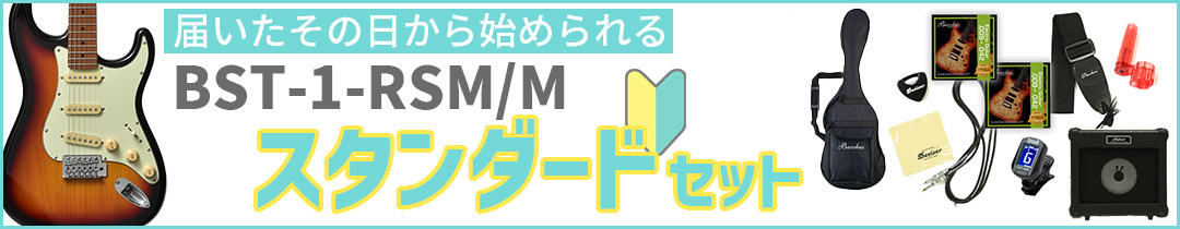 BST-1-RSM/M �X�^���_�[�h�Z�b�g