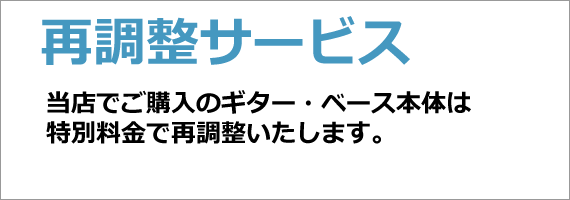 2�N�ԍĒ�������