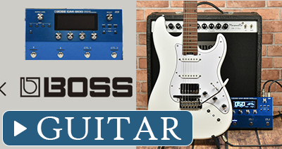 BSH-STD-GK / TACTICS24-FM-GK