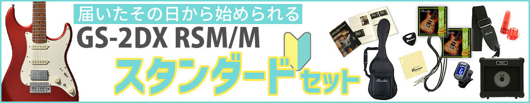 GS-2DX RSM/M �X�^���_�[�h�Z�b�g