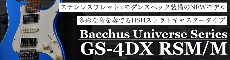 GS-4DX RSM/M