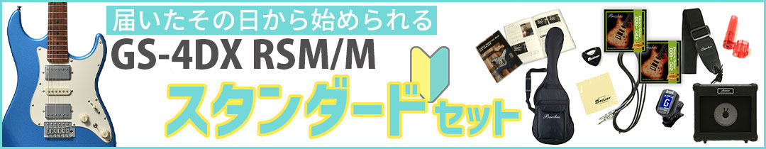 GS-4DX RSM/M �X�^���_�[�h�Z�b�g