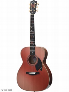 HF-SHIKIZAKURA�f24